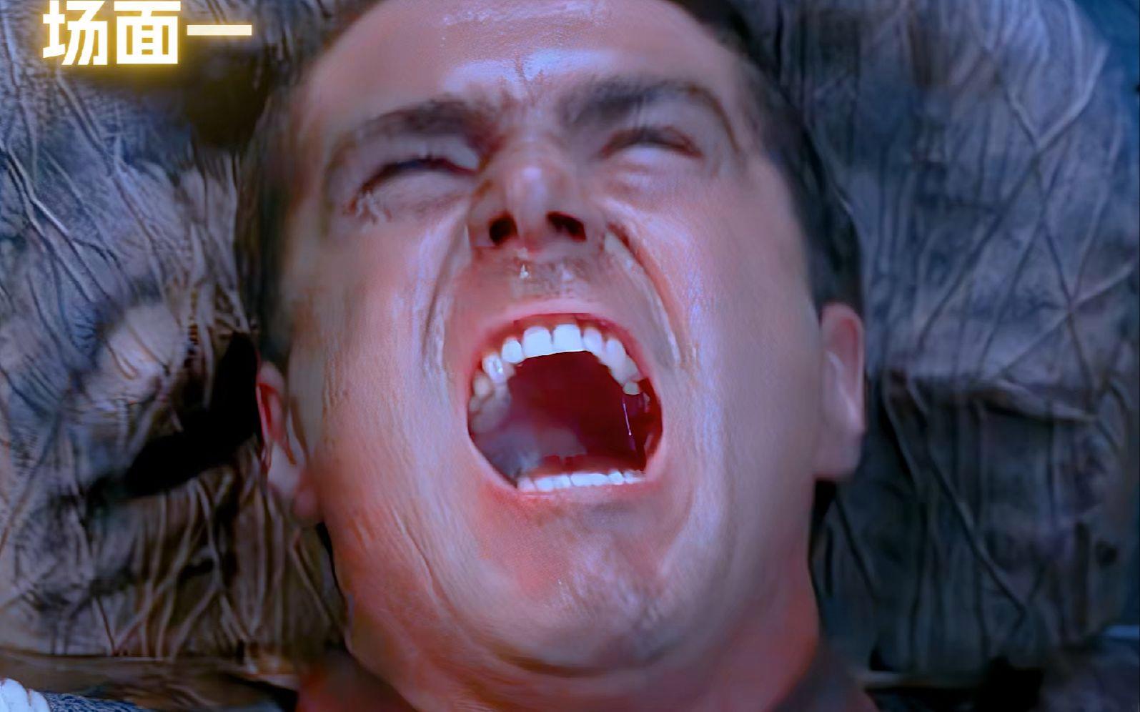 灰熊队怎么样 灰熊队怎么样